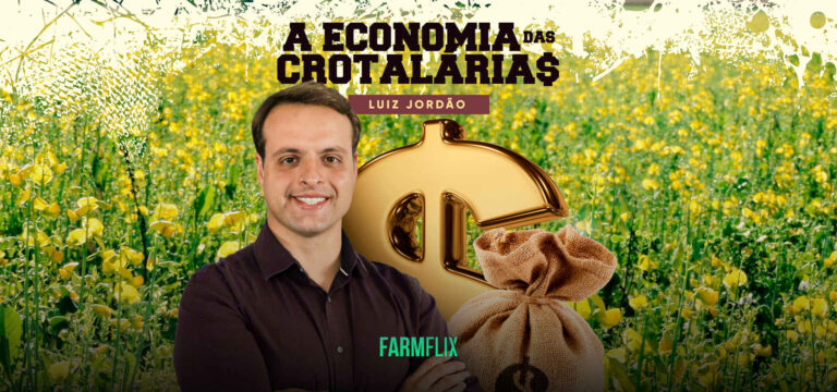 A ECONOMIA DAS CROTALARIAS