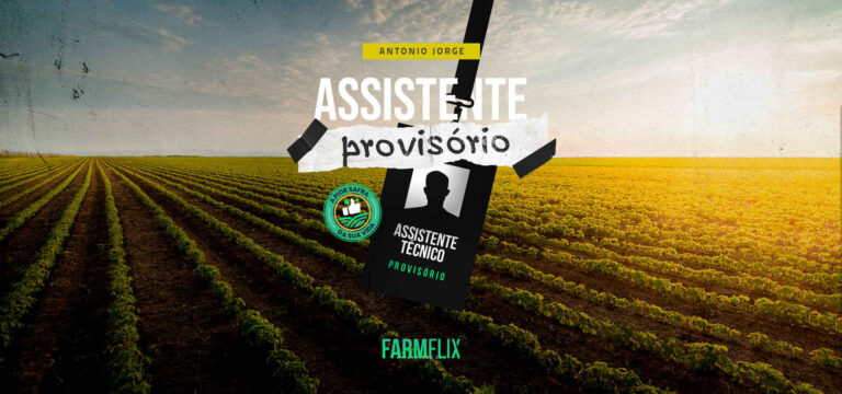 ASSISTENTE PROVISORIO