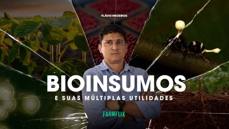 BIOINSUMOS
