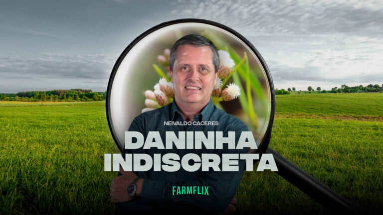 DANINHA INDISCRETA