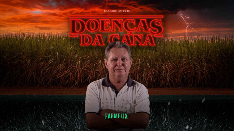 DOENÇAS CANA DE AÇUCAR