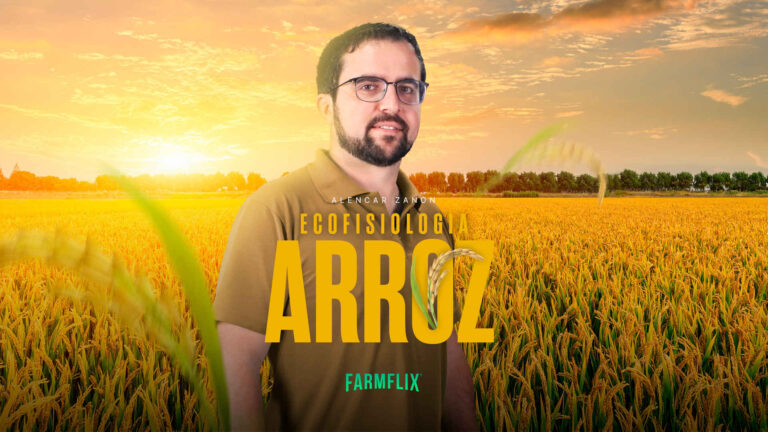 ECOFISIOLOGIA DO ARROZ