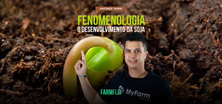 FENOMENOLOGIA