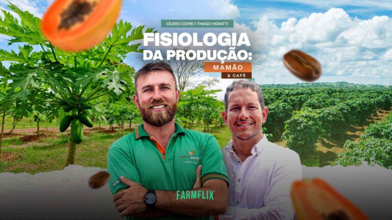FISIOLOGIA-PRODUÇÃO-MAMÃO-CAFÉ-EDIÇÃO