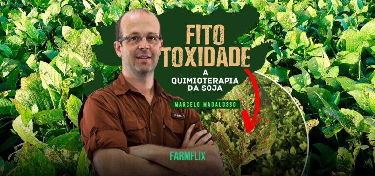 FITOTOXIDADE