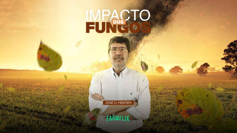 IMPACTO DOS FUNGOS