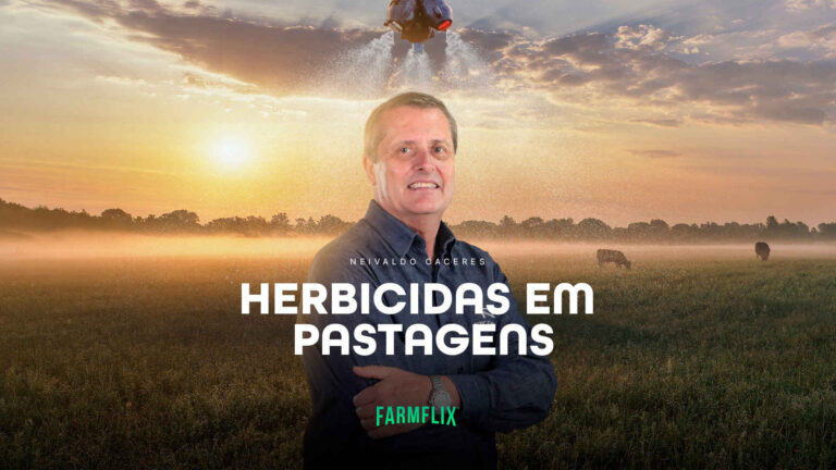 MANEJO COM HERBICIDAS EM PASTAGENS