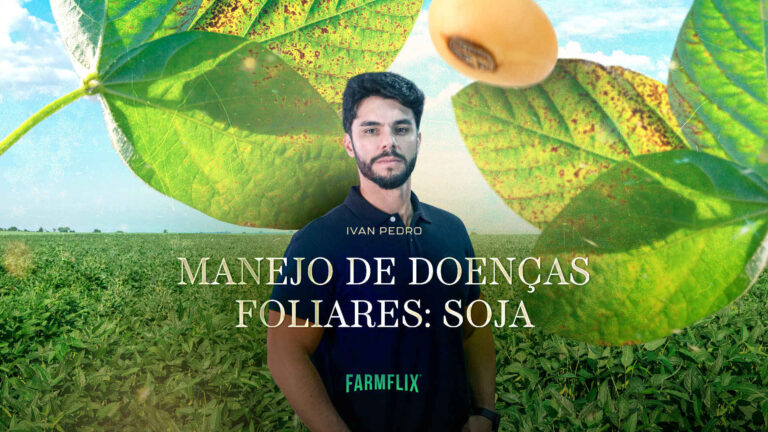MANEJO DOENÇAS FOLIARES SOJA