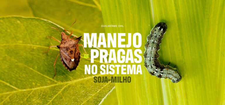 MANEJO PRAGAS SISTEMA SOJA MILHO