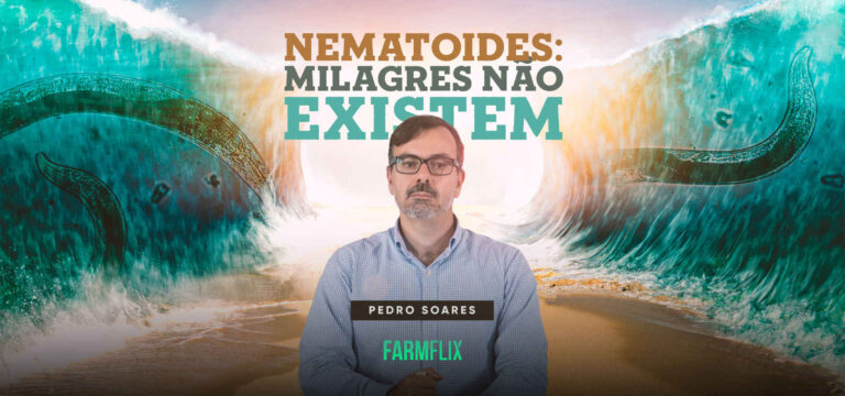 NEMATOIDES-MILAGRES-NÃO-EXISTEM