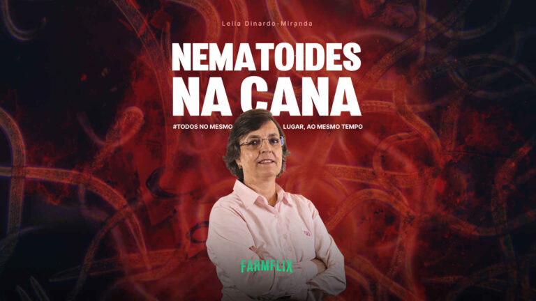 NEMATOIDES NA CANA