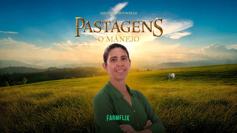 PASTAGENS - O MANEJO