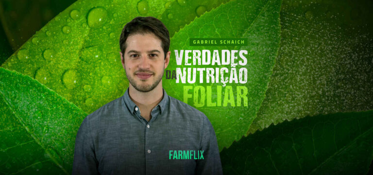 VERDADES-NUTRIÇÃO-FOLIAR